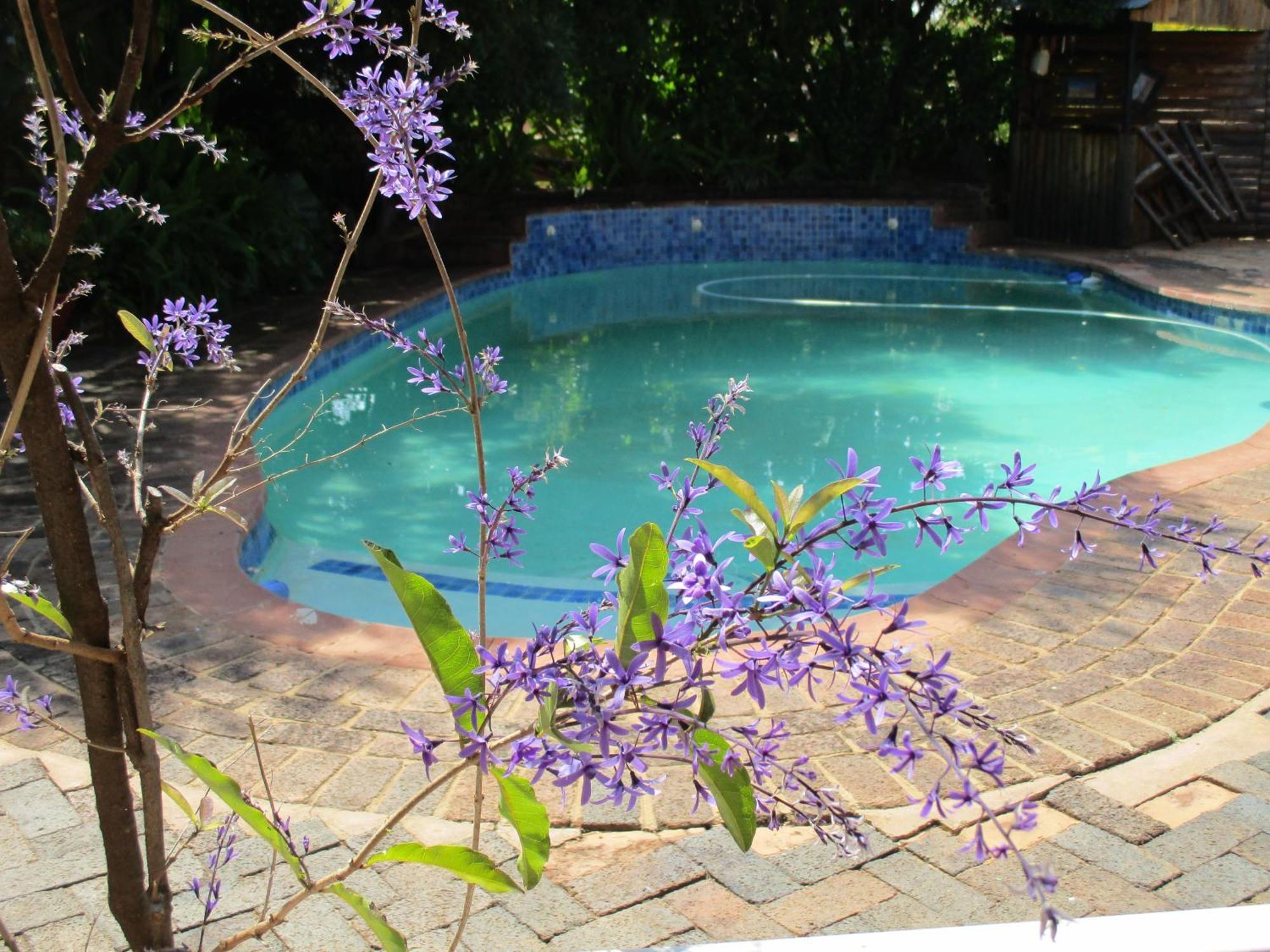 Ukarimu Guest House Klerksdorp Luaran gambar
